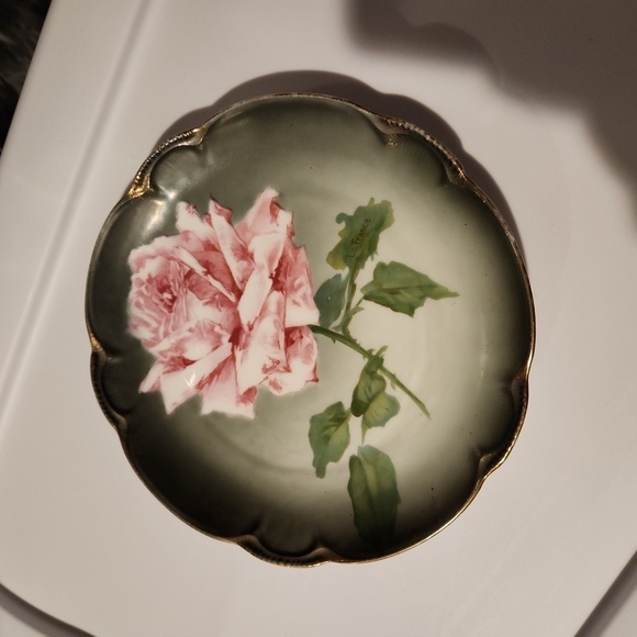 Charlotte Bavaria Cabinet Plate - Picture 1 of 4